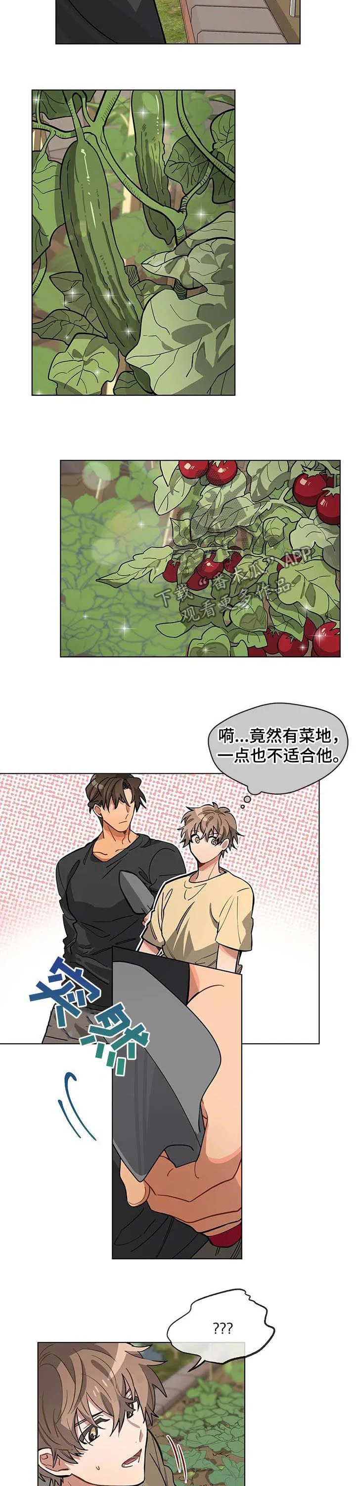 无法触摸后续漫画,第41章：挖菜10图