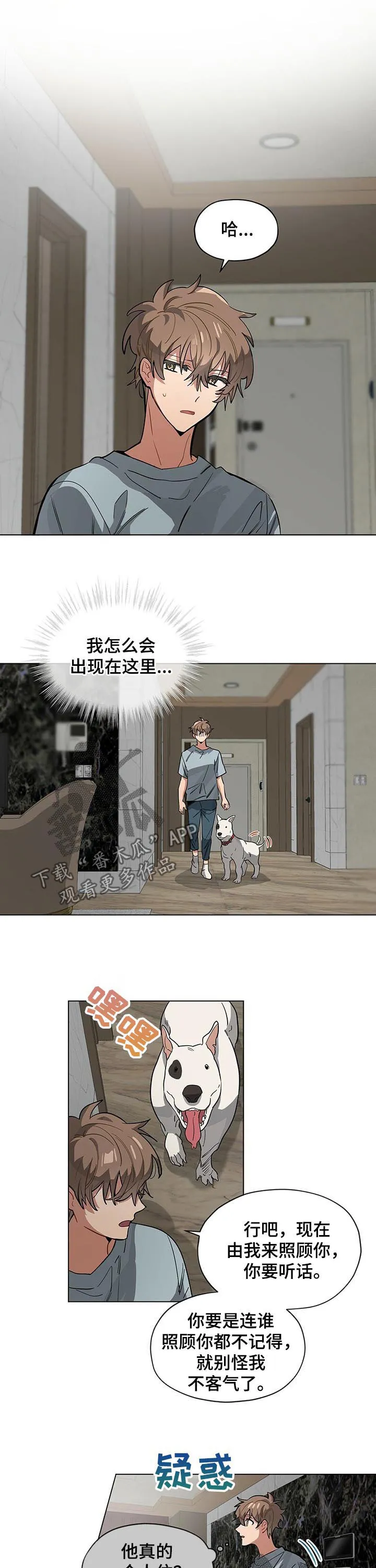 无法触摸漫画漫画,第57章：狗主人6图