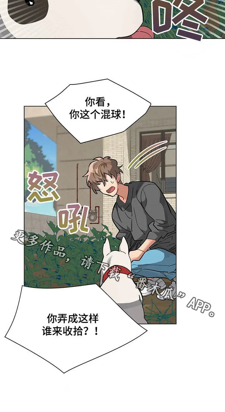 无法触摸漫画漫画,第59章：混球9图