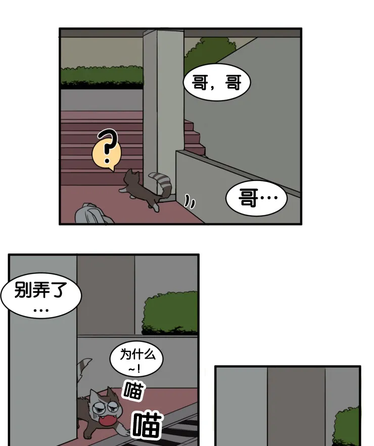空巢也疯狂 观后感漫画,第9章：凝视1图