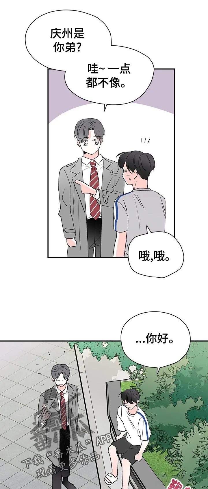 暗恋期漫画漫画,第62章：道什么歉1图