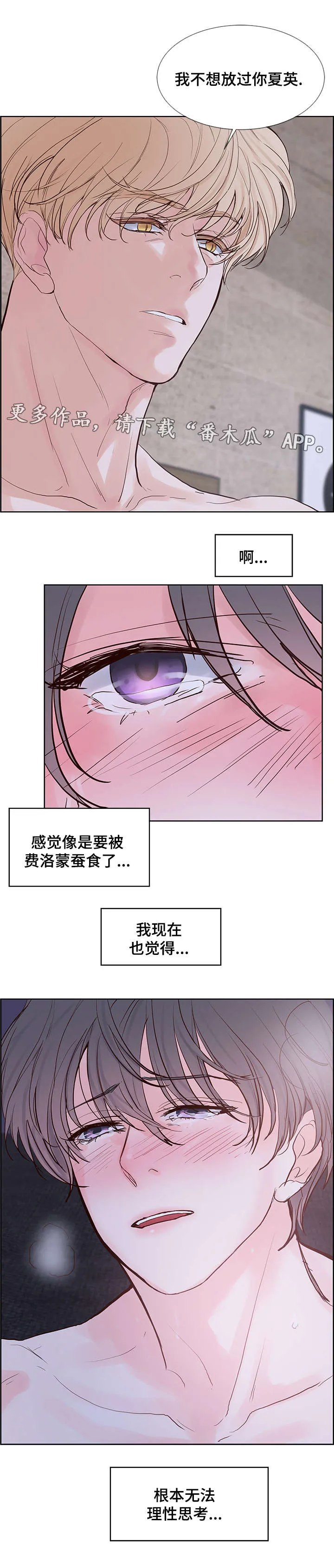 heart and run朱罗家族漫画漫画,第58章：无法思考13图