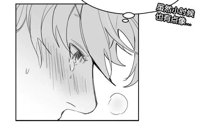 朱罗家族漫画漫画,第28章：放进去吗12图