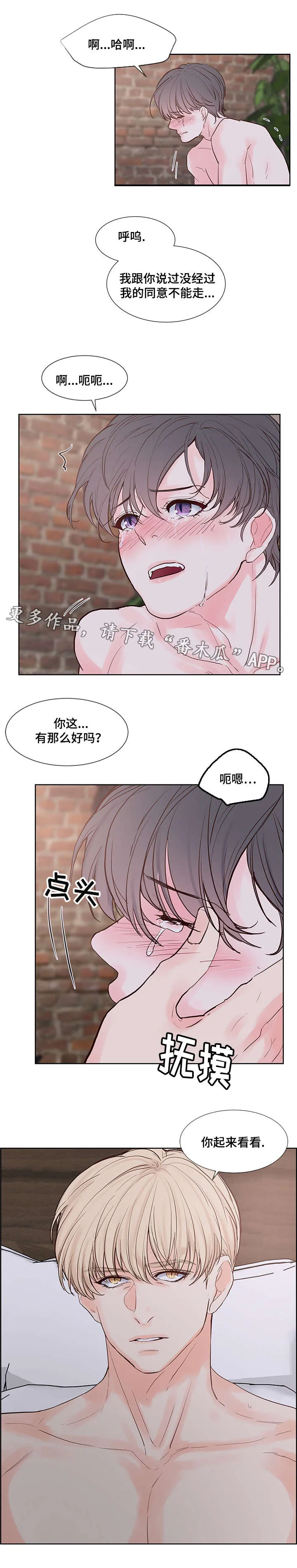 heart and run朱罗家族漫画漫画,第58章：无法思考3图