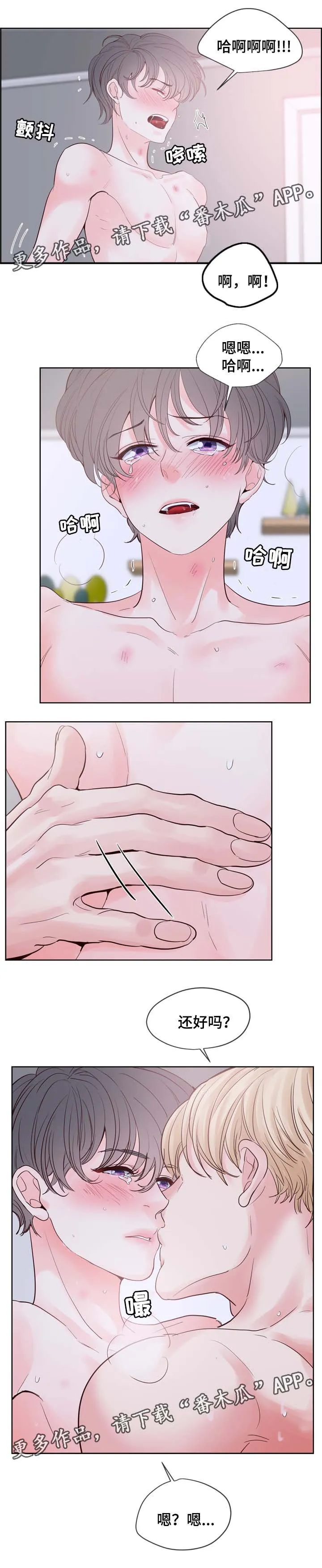 朱罗家族漫画漫画,第81章：答应我一个愿望2图