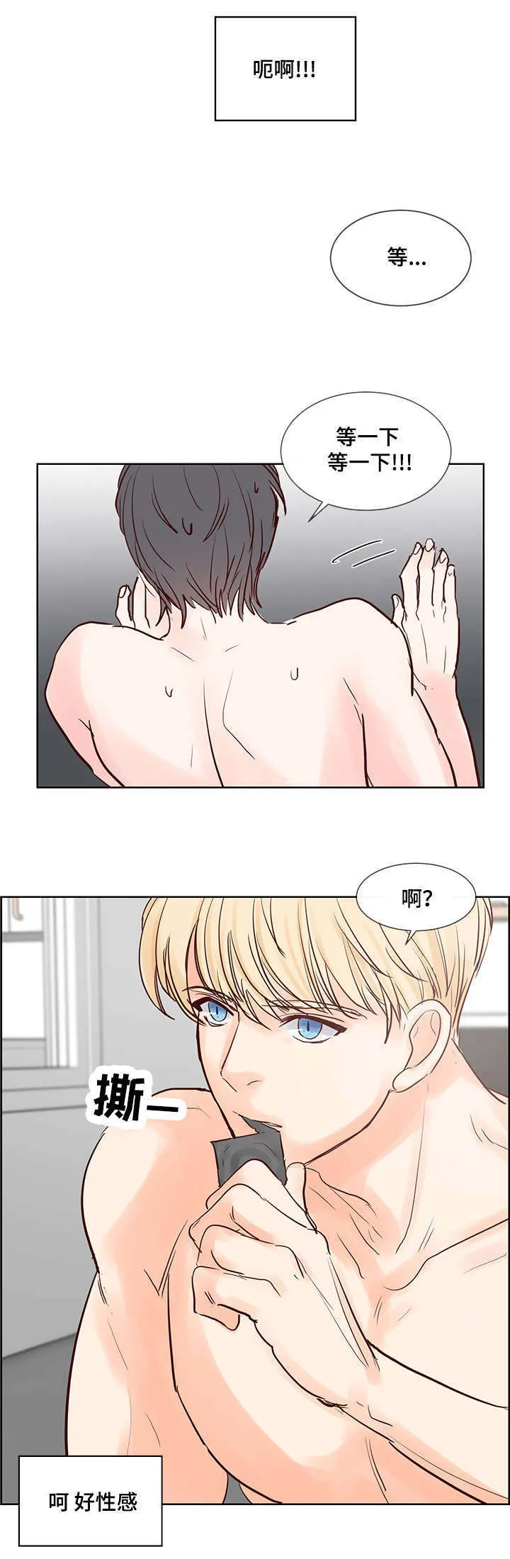 朱罗家族漫画漫画,第55章：温暖而成熟11图