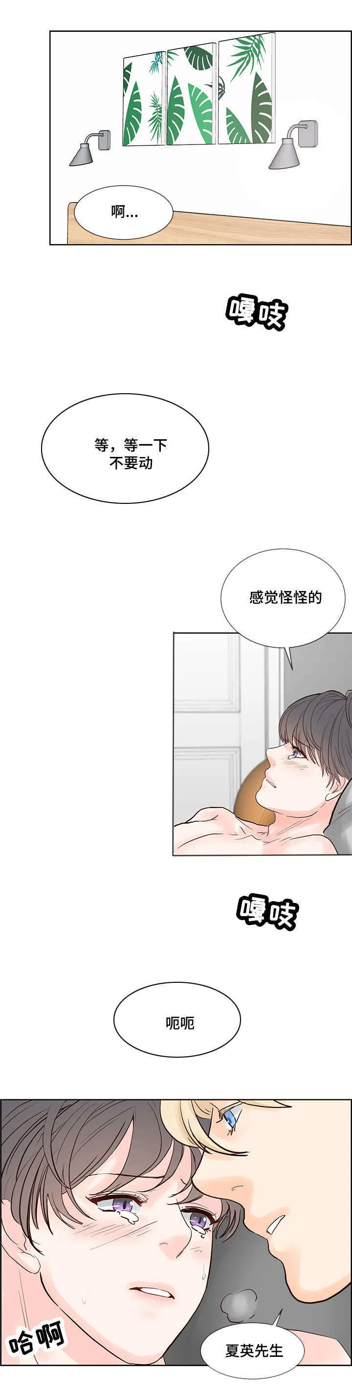 朱罗家族漫画漫画,第55章：温暖而成熟15图
