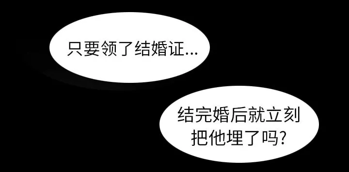 虚荣与谎言漫画漫画,第43章：200亿28图