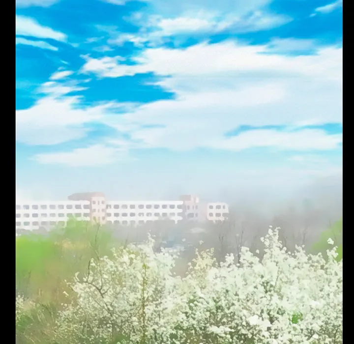 虚荣与谎言漫画漫画,第49章：交往吧35图
