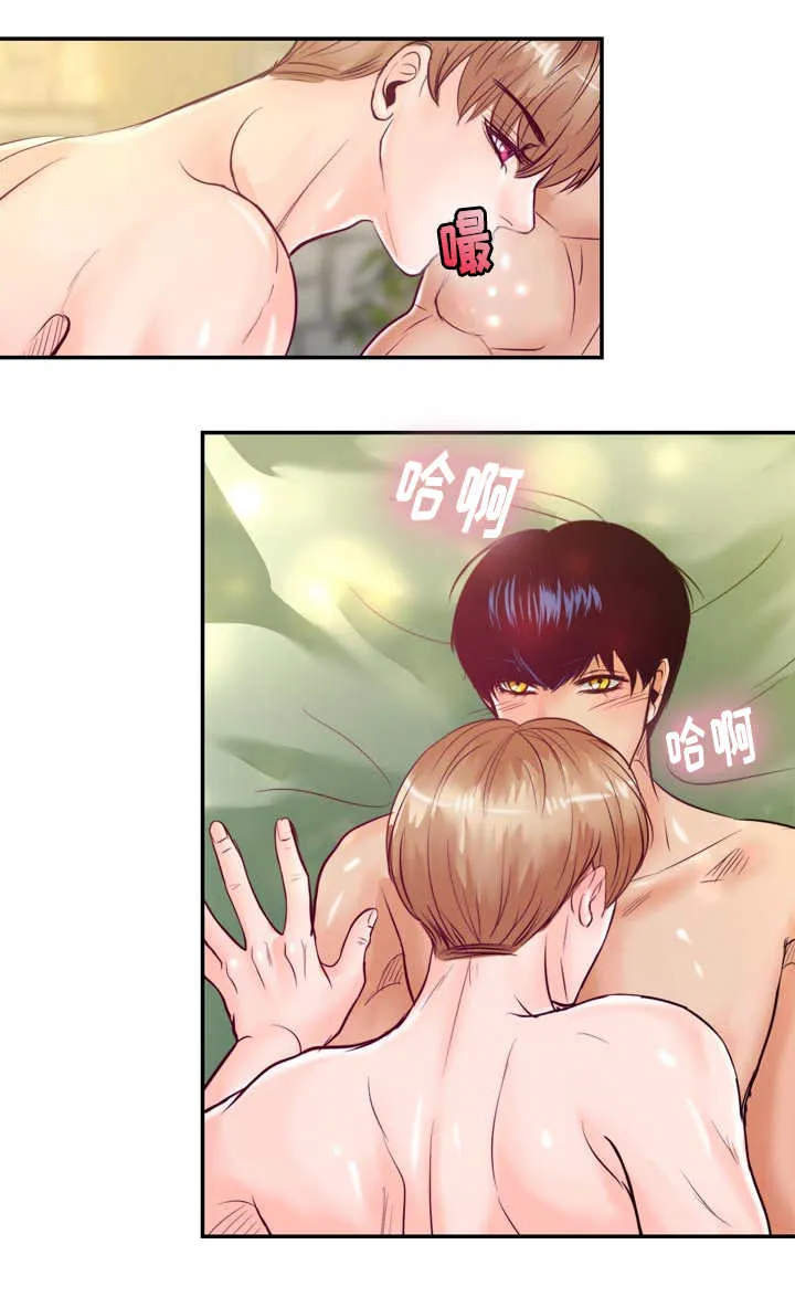 蝙蝠的悲鸣漫画漫画,第51章：进入正题11图