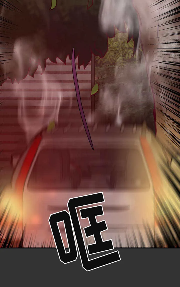 蝙蝠漫画全集漫画,第57章：完结章8图