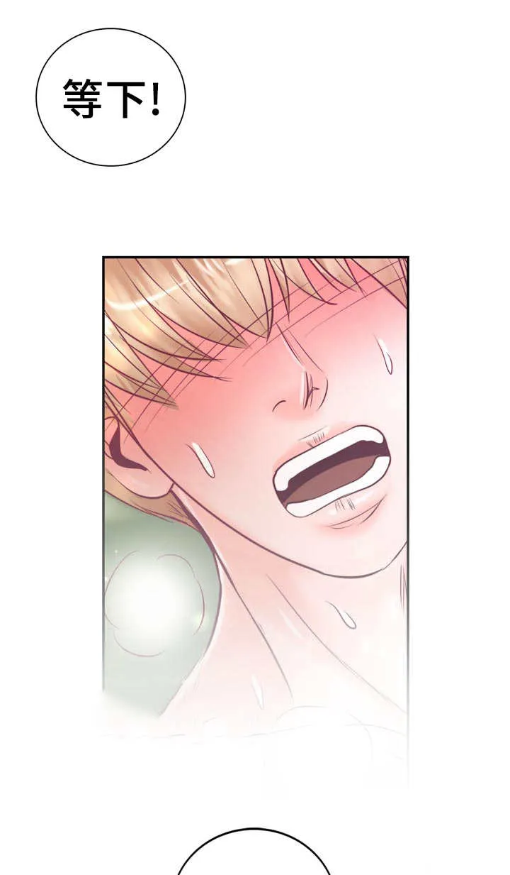 蝙蝠的悲鸣漫画漫画,第51章：进入正题17图
