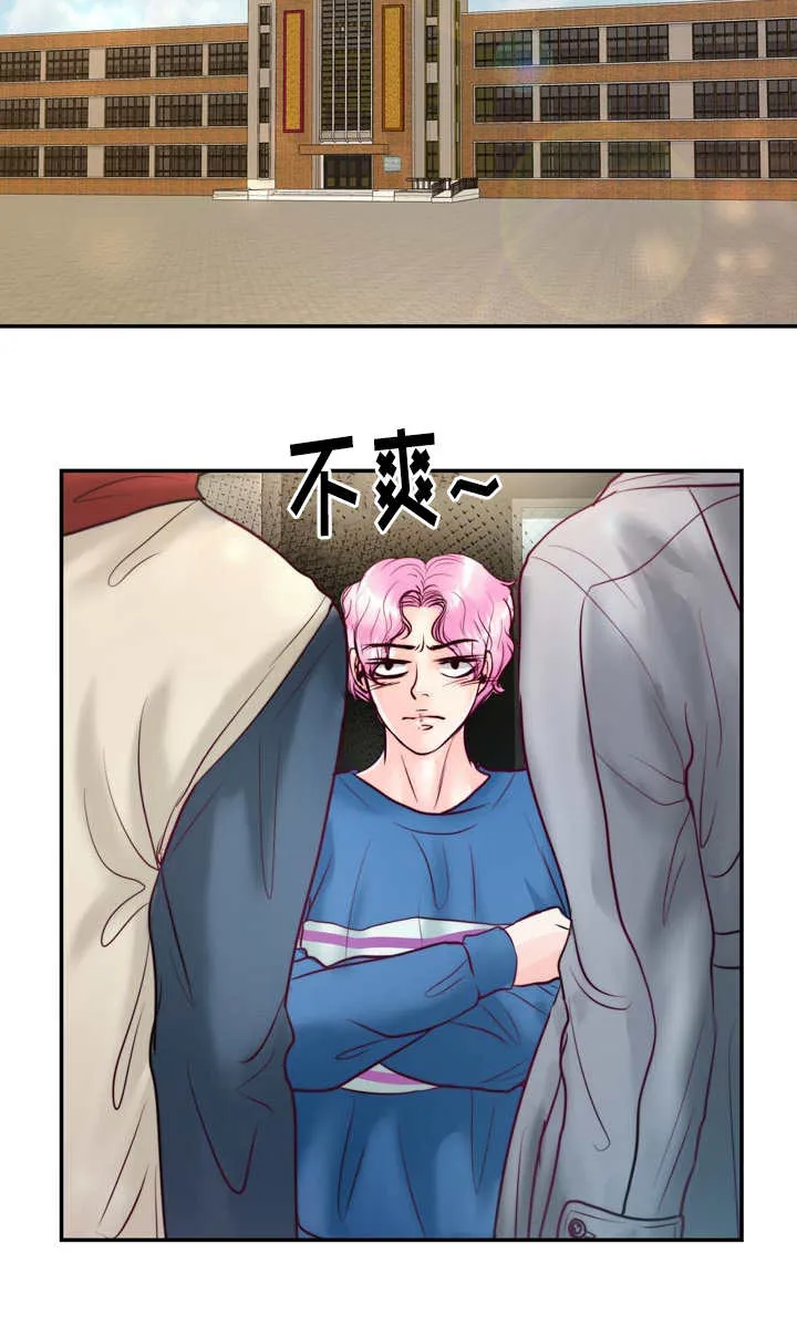 蝙蝠的悲鸣漫画全集漫画,第45章：真是酸爽21图