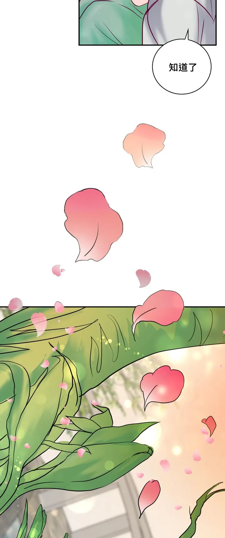 蝙蝠的悲鸣漫画漫画,第53章：他想脱离家族25图