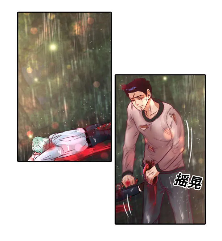蝙蝠的悲鸣漫画全集漫画,第20章：成功了15图