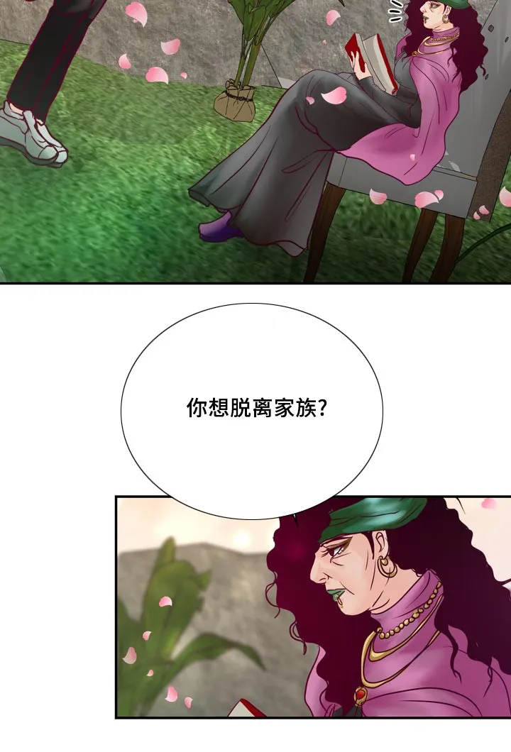 蝙蝠的悲鸣漫画漫画,第53章：他想脱离家族28图