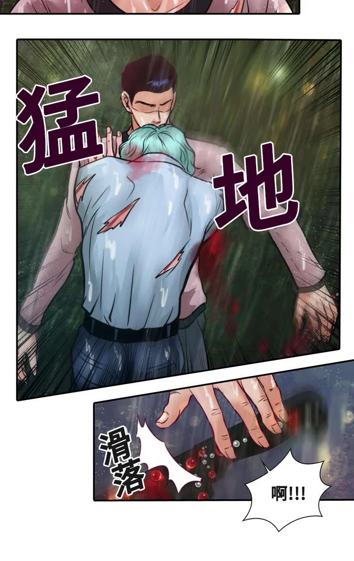 蝙蝠的悲鸣漫画全集漫画,第20章：成功了6图