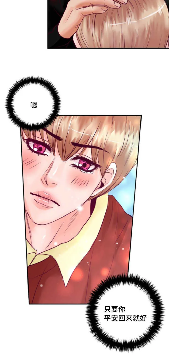蝙蝠的悲鸣漫画漫画,第50章：不要等我17图