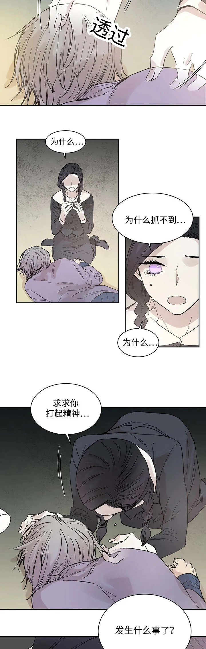巫师与狼漫画漫画,第19章：直觉10图