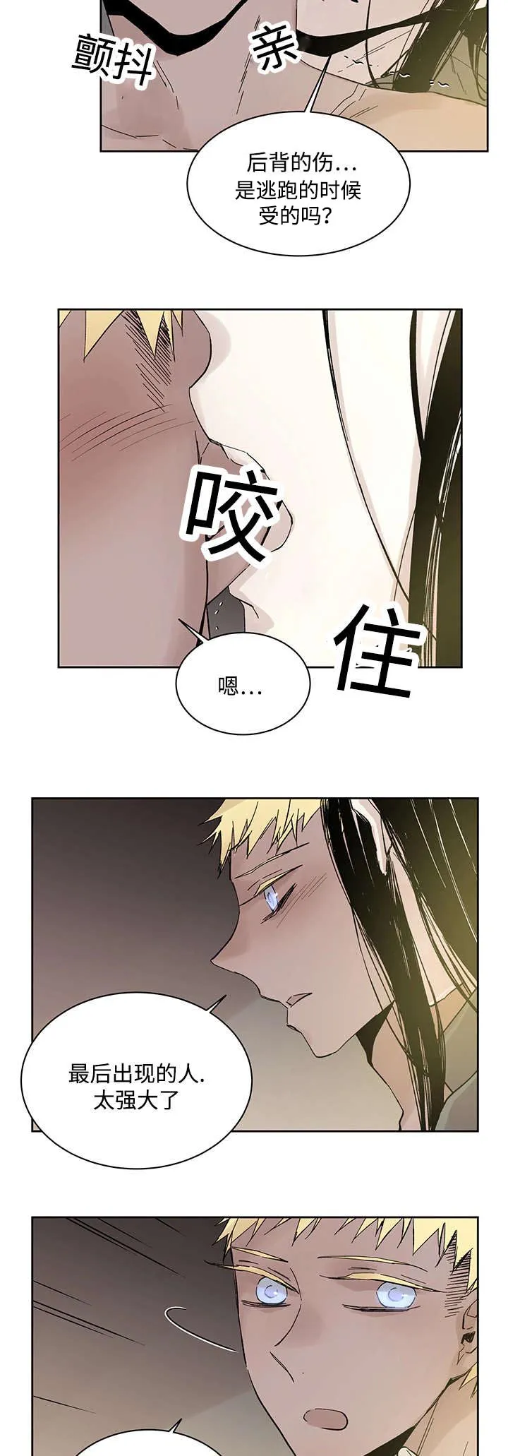 巫师与狼漫画全集免费看漫画,第21章：受伤返回14图