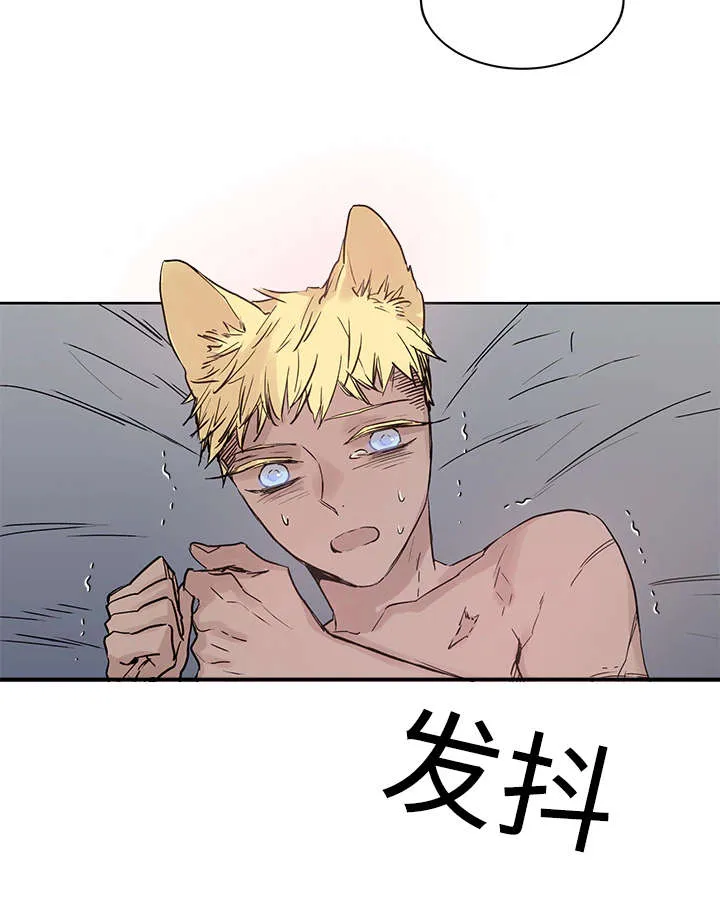 巫师与狼漫画漫画,第11章：原来在那里3图
