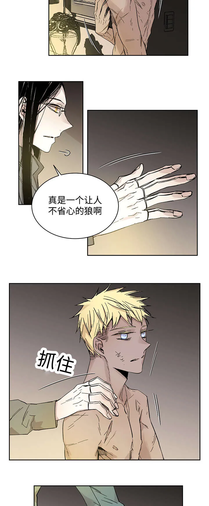 巫师与狼漫画全集免费看漫画,第21章：受伤返回7图