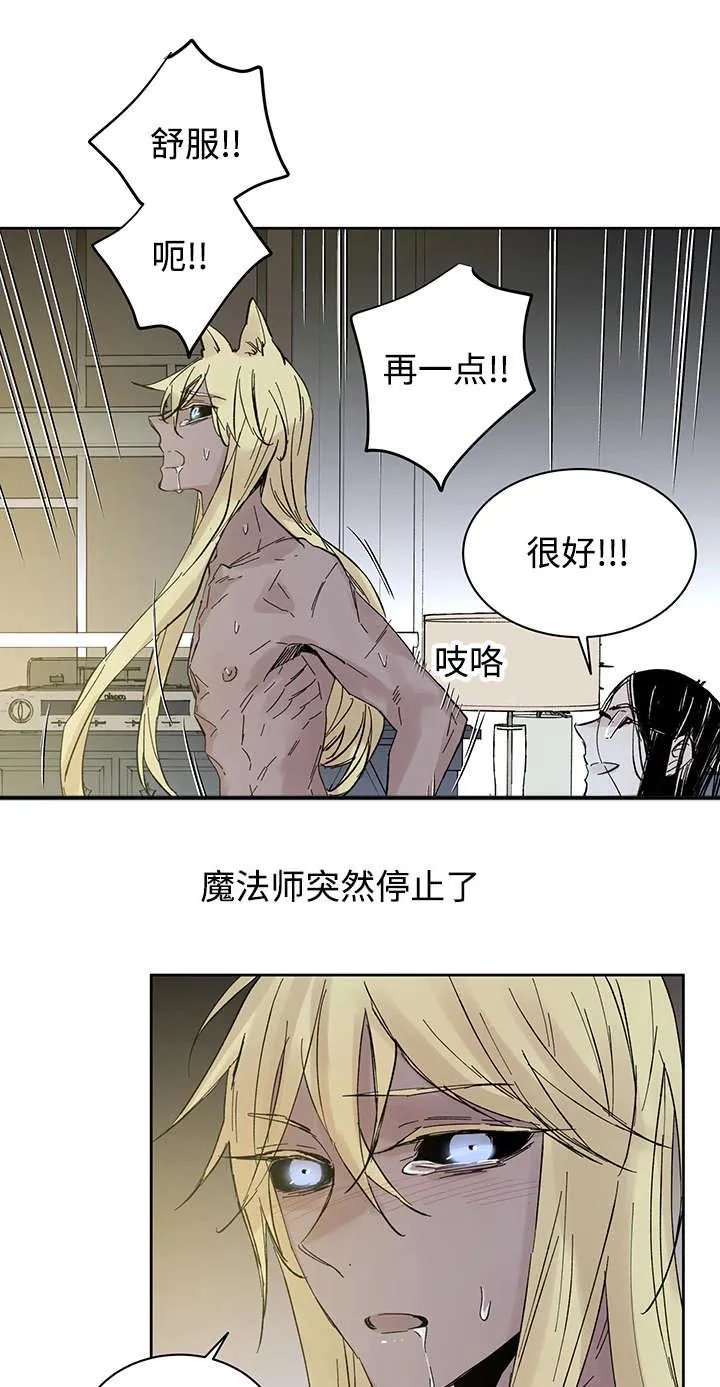巫师与狼漫画漫画,第28章：失去理性9图