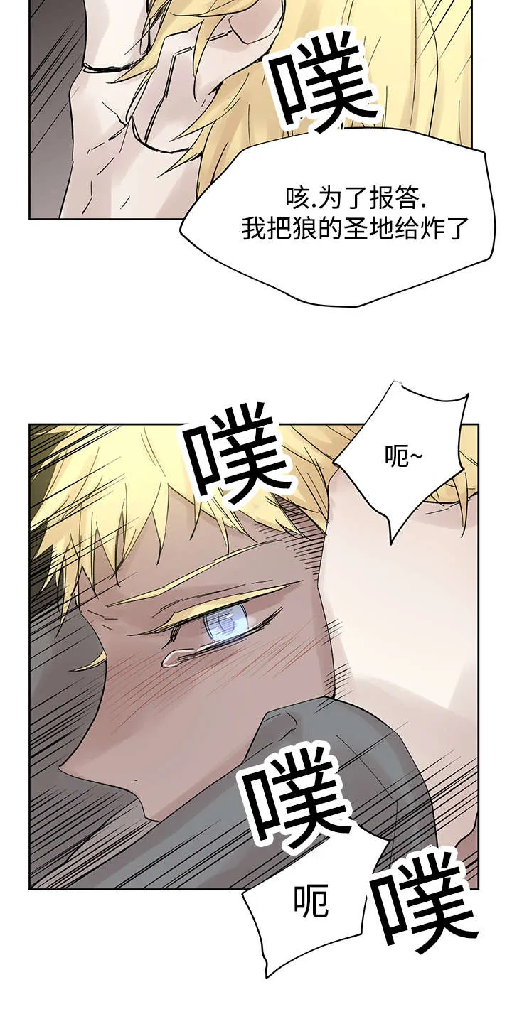 漫画巫师与狼的另一个名字叫什么漫画,第24章：哪里听过12图