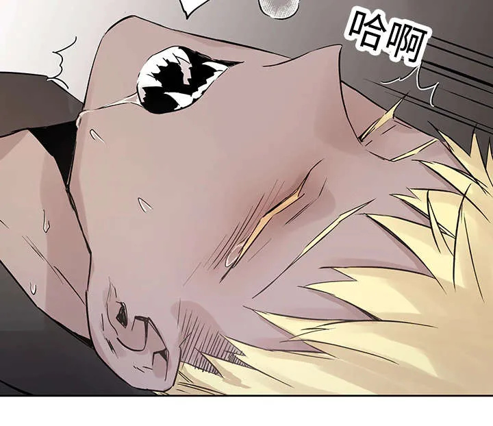 巫师与狼漫画漫画,第18章：发觉8图