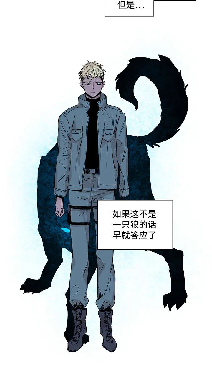 巫师与狼漫画漫画,第1章：一只狼14图