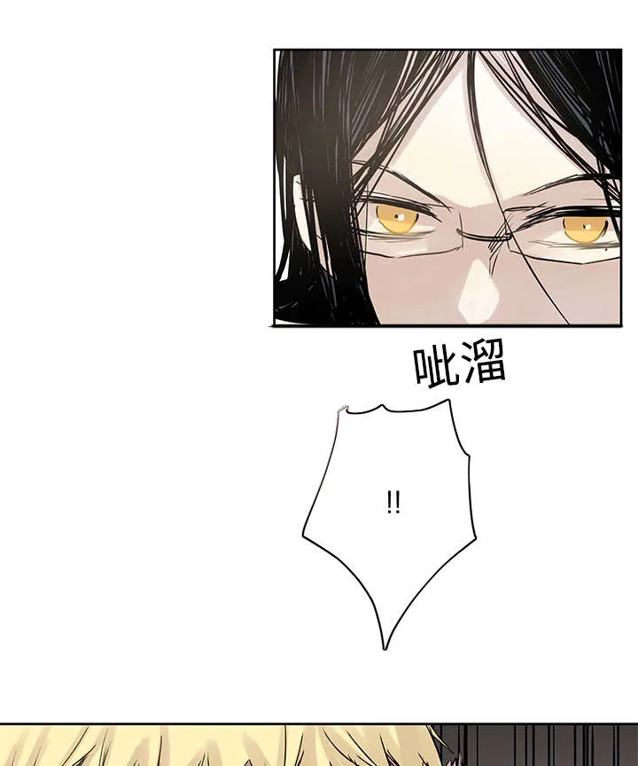 巫师与狼漫画漫画,第11章：原来在那里1图