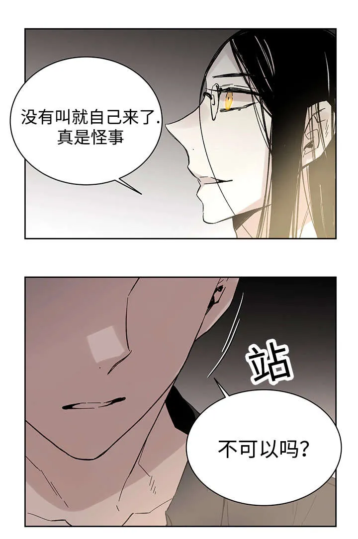 巫师与狼漫画漫画,第17章：带到这里7图