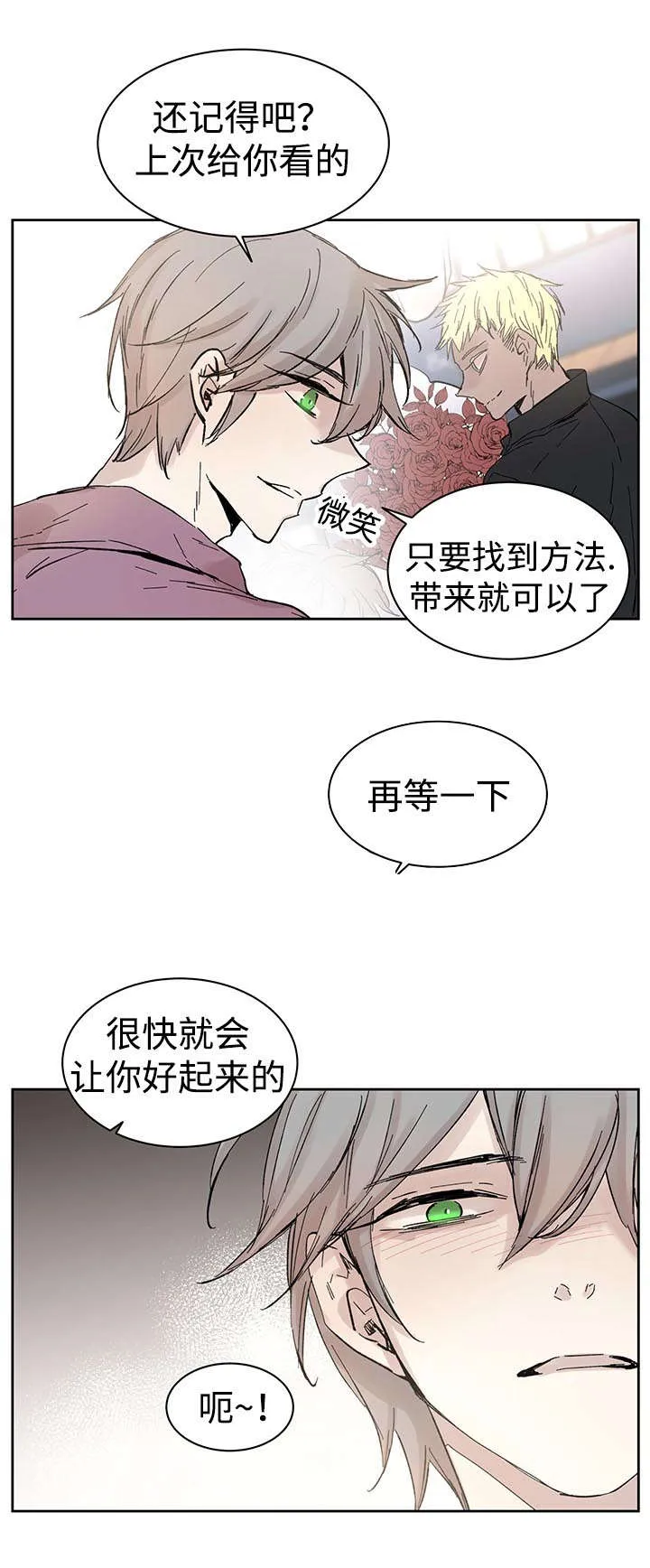 巫师与狼漫画漫画,第31章：再等一下13图