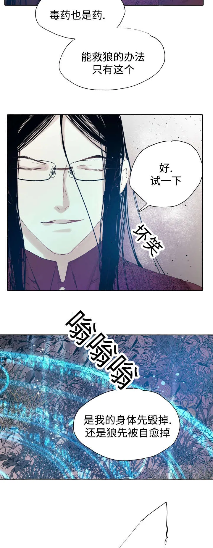 巫师与狼免费漫画漫画,第41章：为什么会这样8图