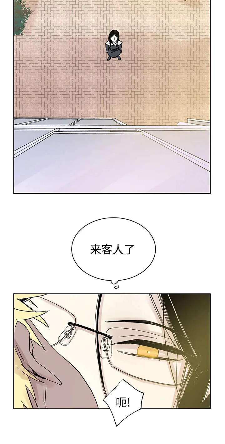 巫师与狼漫画还有别的名字漫画,第14章：来客人了18图