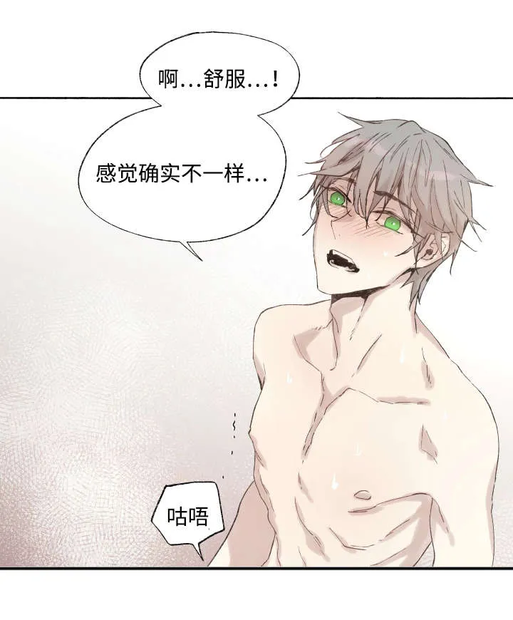 巫师与狼漫画漫画,第37章：充分证明12图