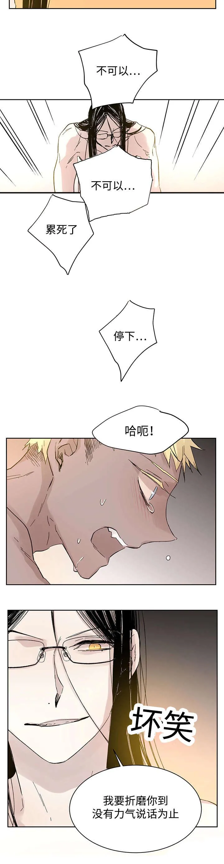 巫师与狼漫画还有别的名字漫画,第29章：没力气说话为止17图
