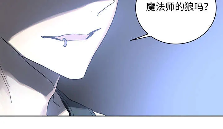 巫师与狼漫画漫画,第19章：直觉6图