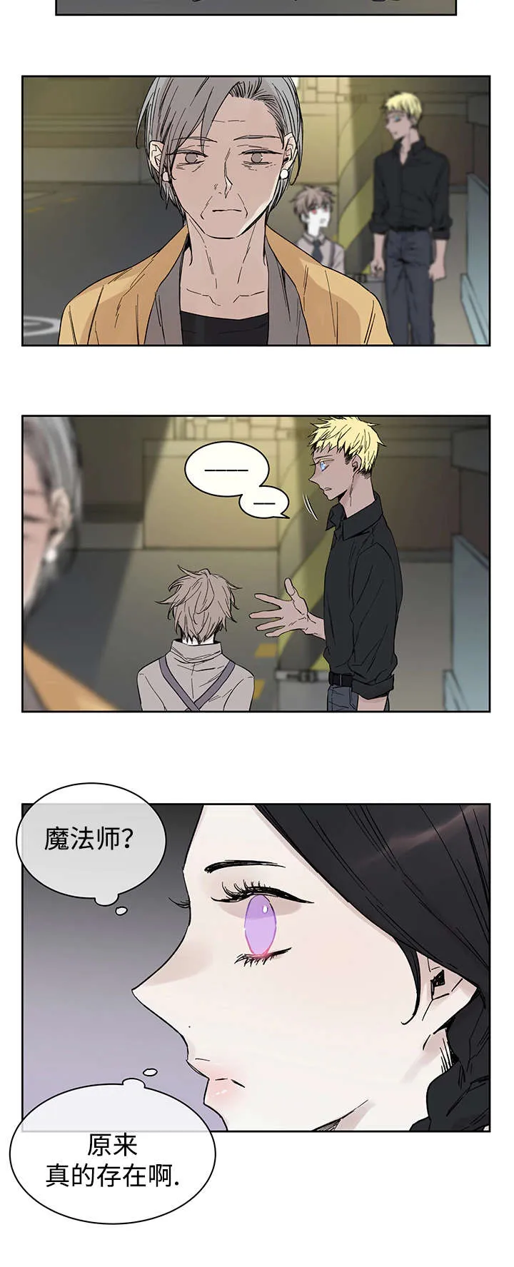 巫师与狼漫画漫画,第13章：难道是15图