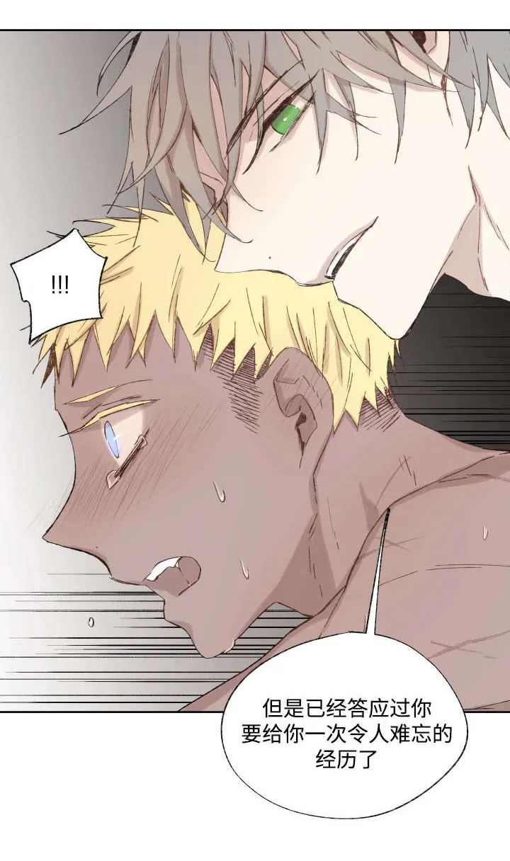 巫师与狼漫画漫画,第37章：充分证明7图