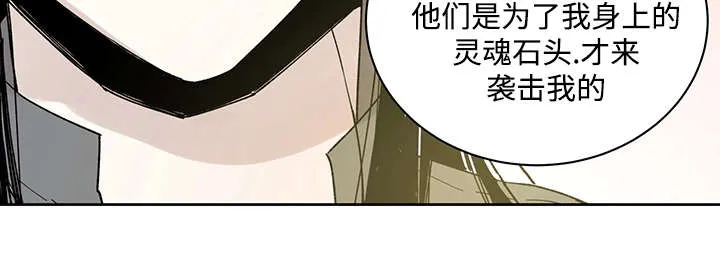 漫画巫师与狼的另一个名字叫什么漫画,第24章：哪里听过9图