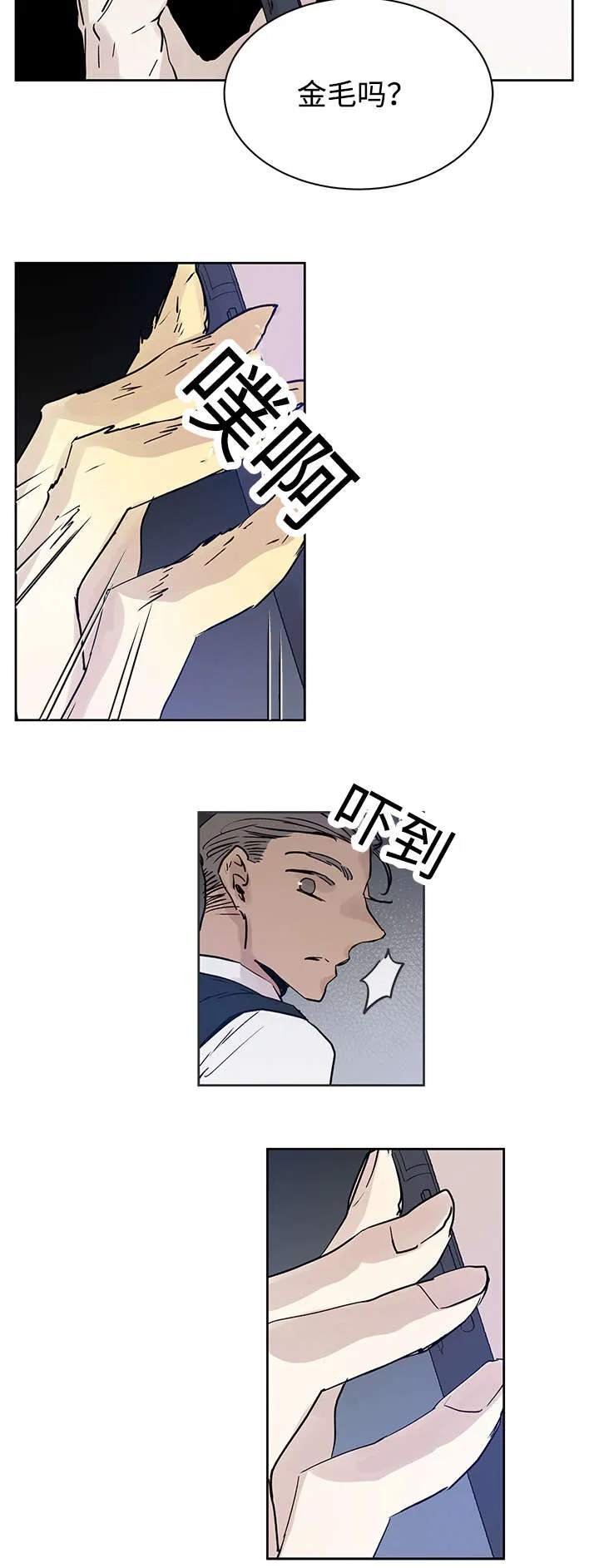 巫师与狼漫画漫画,第11章：原来在那里18图