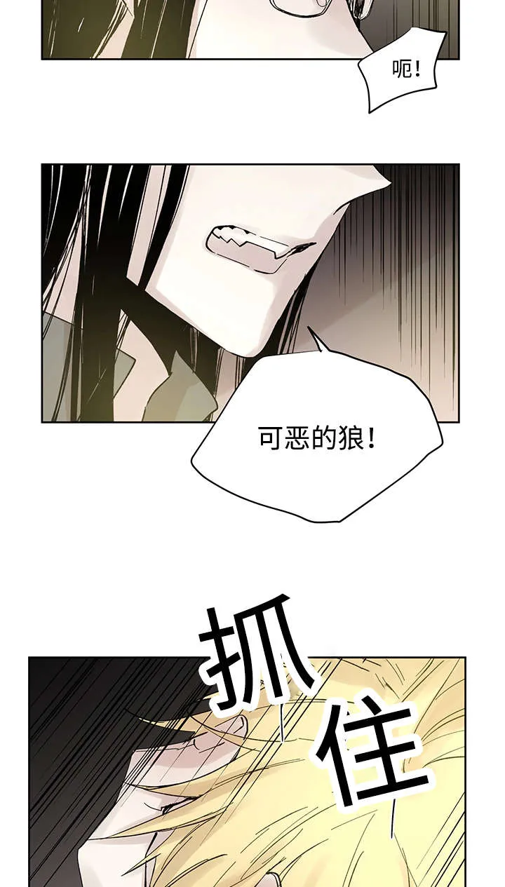 漫画巫师与狼的另一个名字叫什么漫画,第24章：哪里听过11图