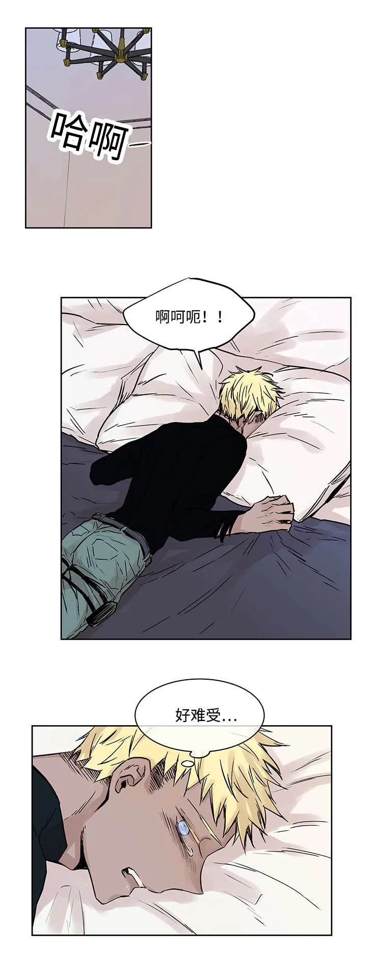 巫师与狼漫画漫画,第9章：神父说的7图