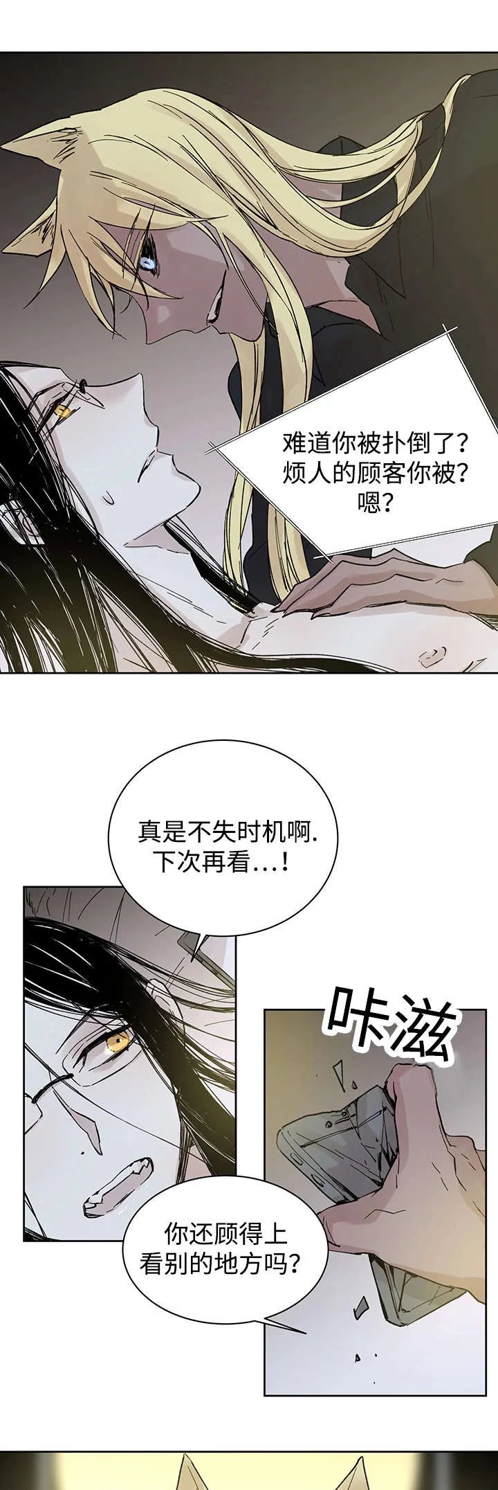 巫师与狼漫画全集免费看漫画,第27章：月色醉人13图