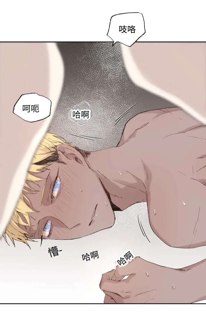 巫师与狼免耽漫画,第38章：捅刀子3图