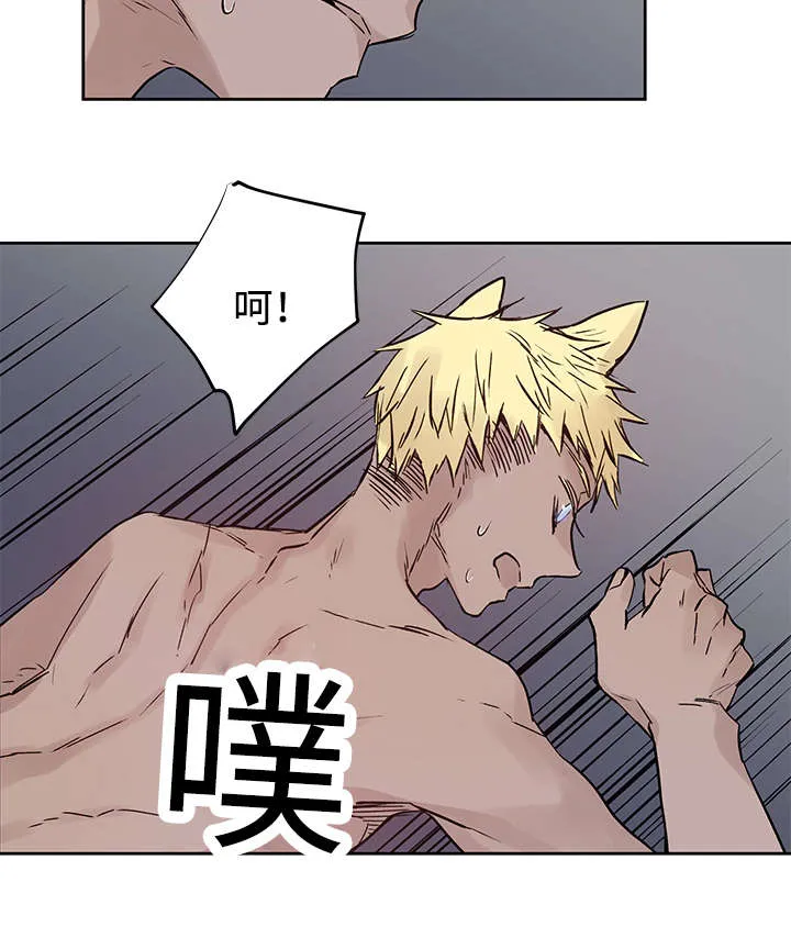 巫师与狼漫画漫画,第11章：原来在那里9图