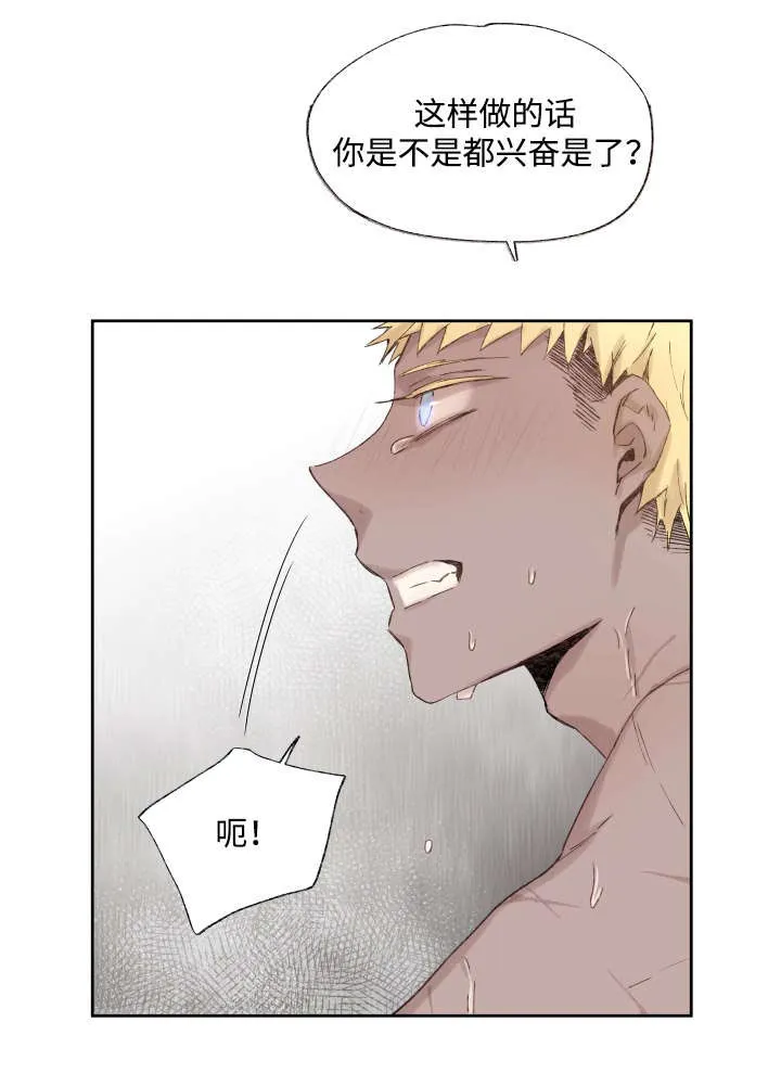 巫师与狼漫画漫画,第37章：充分证明4图