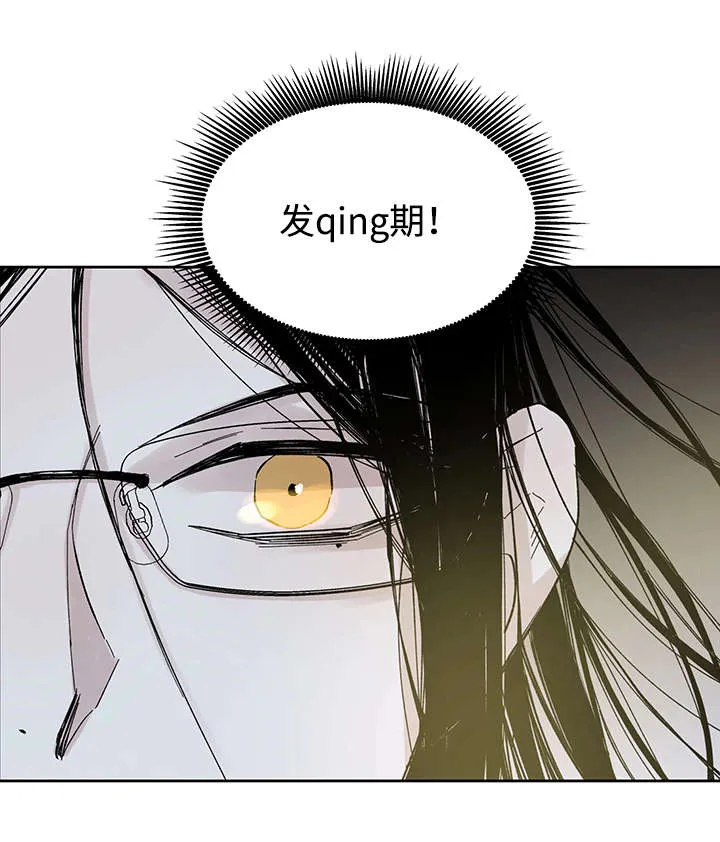 巫师与狼漫画全集免费看漫画,第27章：月色醉人16图