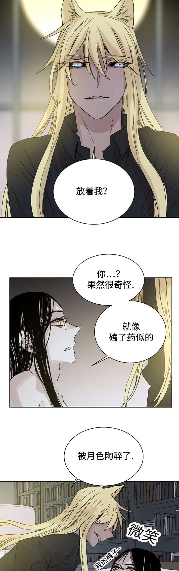 巫师与狼漫画全集免费看漫画,第27章：月色醉人14图